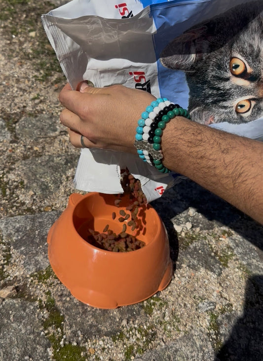Comment fonctionnent nos opérations de nourrissage de chats