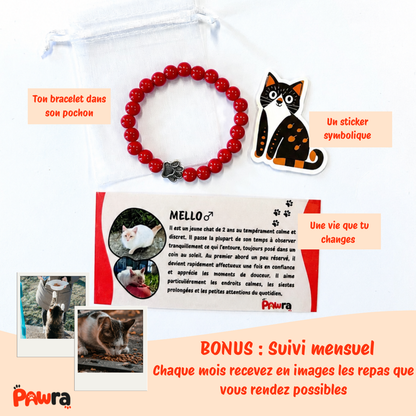 Bracelet Tempête